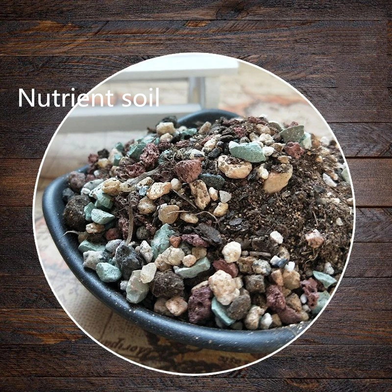 The Best Time To Apply Organic Soil Nutrients