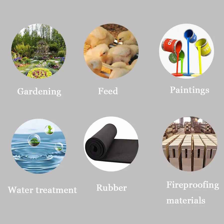 The Importance of Diatomite in Swimming Pool Filters