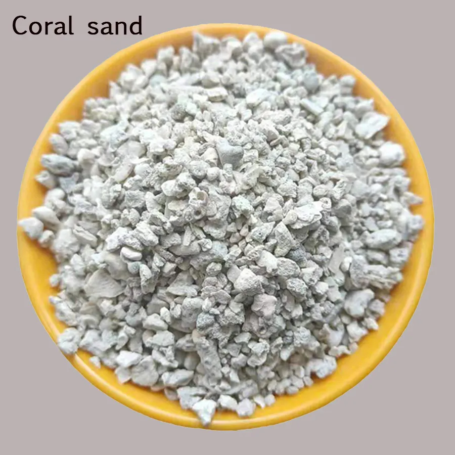 Coral Sand: Optimal pH Buffer for Marine Aquariums &#038; Reef Tanks