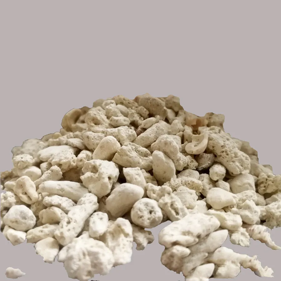 Coral Sand: Optimal pH Buffer for Marine Aquariums &#038; Reef Tanks